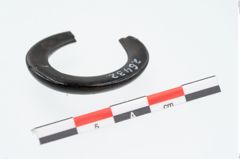 Foto von Gagatring (NHMW-PRAE-026432)